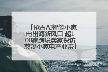 抢占AI智能小家电出海新风口 超100家跨境卖家探访慈溪小家电产业带