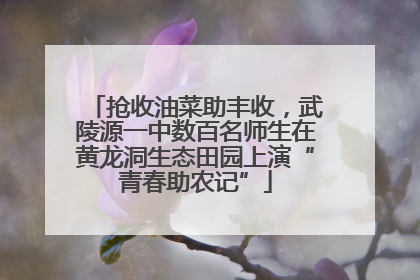 抢收油菜助丰收，武陵源一中数百名师生在黄龙洞生态田园上演“青春助农记”