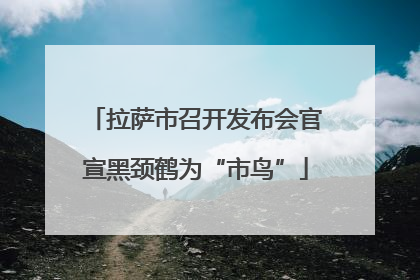 拉萨市召开发布会官宣黑颈鹤为“市鸟”