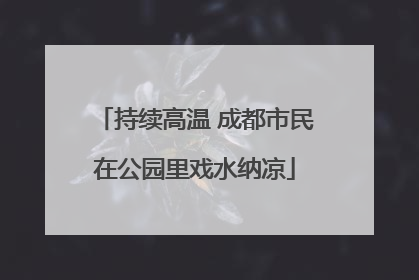 持续高温 成都市民在公园里戏水纳凉