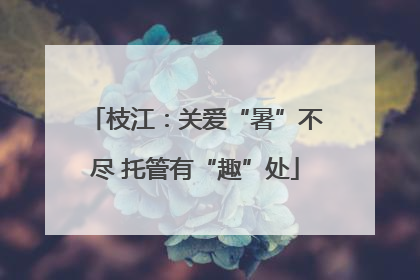 枝江：关爱“暑”不尽 托管有“趣”处