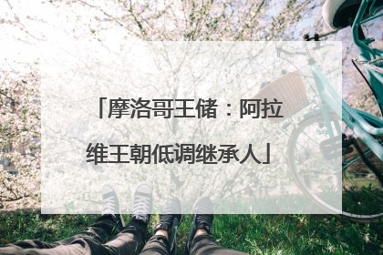 摩洛哥王储：阿拉维王朝低调继承人