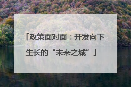 政策面对面：开发向下生长的“未来之城”