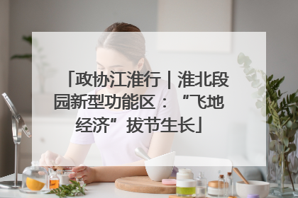 政协江淮行｜淮北段园新型功能区：“飞地经济”拔节生长