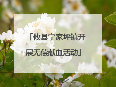 攸县宁家坪镇开展无偿献血活动