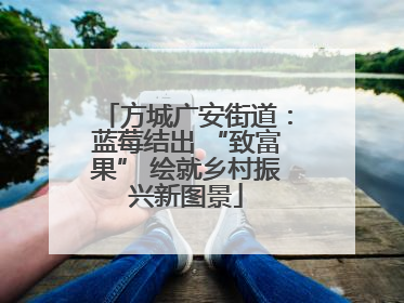 方城广安街道：蓝莓结出 “致富果” 绘就乡村振兴新图景