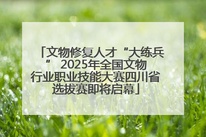 文物修复人才“大练兵” 2025年全国文物行业职业技能大赛四川省选拔赛即将启幕