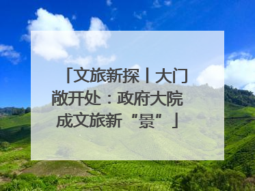 文旅新探丨大门敞开处：政府大院成文旅新“景”