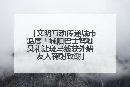 文明互动传递城市温度！城阳巴士驾驶员礼让斑马线获外籍友人鞠躬致谢