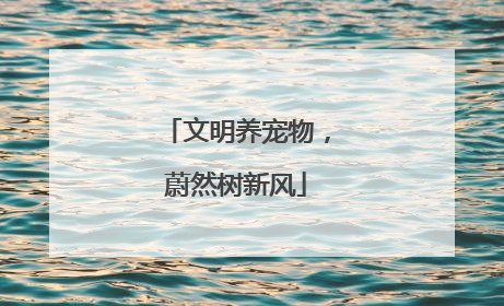 文明养宠物，蔚然树新风