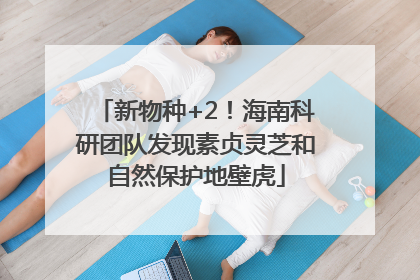 新物种+2！海南科研团队发现素贞灵芝和自然保护地壁虎
