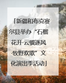 新疆和布克赛尔县举办“石榴花开·云骥逐风·牧野欢歌”文化演出季活动
