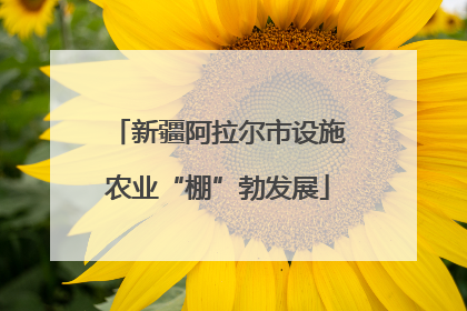 新疆阿拉尔市设施农业“棚”勃发展