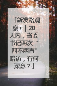 新发路观察+｜20天内，省委书记两次“四不两直”暗访，有何深意？