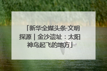 新华全媒头条·文明探源｜金沙遗址：太阳神鸟起飞的地方