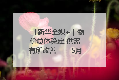 新华全媒+｜物价总体稳定 供需有所改善——5月份物价数据透视