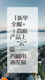 新华全媒+｜高原产品上“云”端——西藏电商发展一线观察