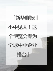 新华鲜报丨小中见大！这个博览会专为全球中小企业搭台