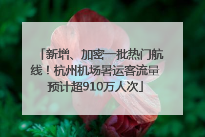 新增、加密一批热门航线！杭州机场暑运客流量预计超910万人次