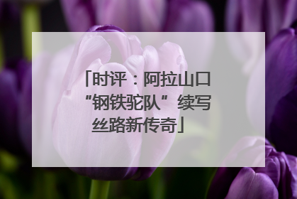 时评：阿拉山口“钢铁驼队”续写丝路新传奇