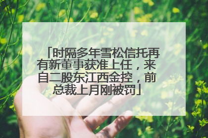 时隔多年雪松信托再有新董事获准上任，来自二股东江西金控，前总裁上月刚被罚