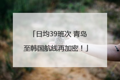 日均39班次 青岛至韩国航线再加密！