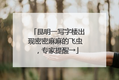 昆明一写字楼出现密密麻麻的飞虫，专家提醒→