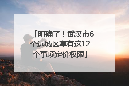 明确了！武汉市6个远城区享有这12个事项定价权限