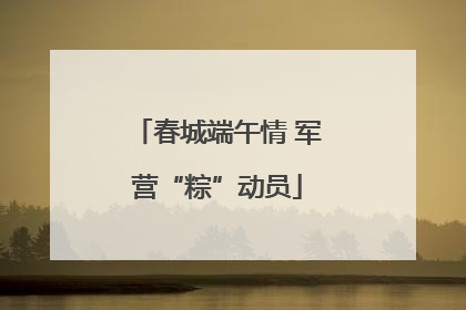 春城端午情 军营“粽”动员