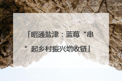 昭通盐津：蓝莓“串”起乡村振兴增收链