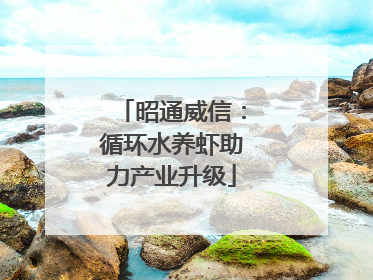 昭通威信：循环水养虾助力产业升级