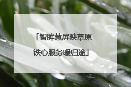 智眸慧屏映草原 铁心服务暖归途