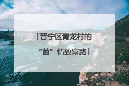 晋宁区青龙村的“菌”情致富路