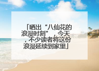 晒出“八仙花的浪漫时刻”，今天，不少读者将这份浪漫延续到家里