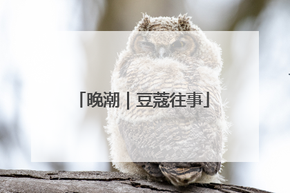 晚潮｜豆蔻往事