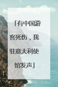 有中国游客死伤，我驻意大利使馆发声
