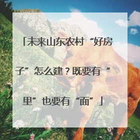 未来山东农村“好房子”怎么建？既要有“里”也要有“面”
