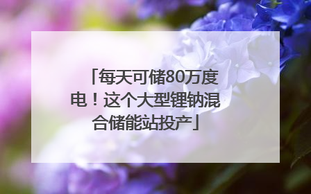 每天可储80万度电！这个大型锂钠混合储能站投产