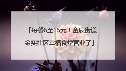 每餐6至15元！金辰街道金实社区幸福食堂营业了