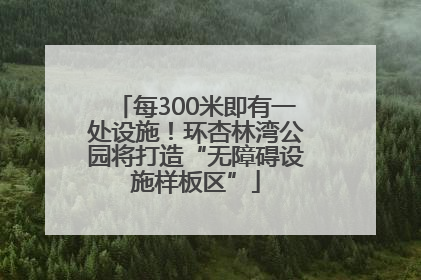 每300米即有一处设施！环杏林湾公园将打造“无障碍设施样板区”