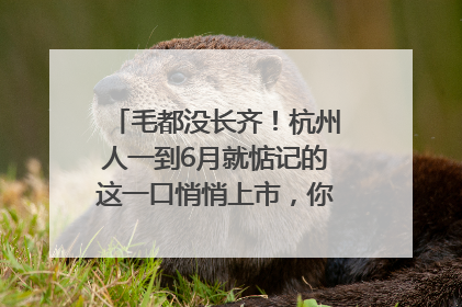 毛都没长齐！杭州人一到6月就惦记的这一口悄悄上市，你打算尝鲜吗？