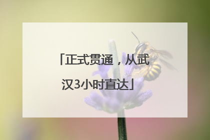 正式贯通，从武汉3小时直达