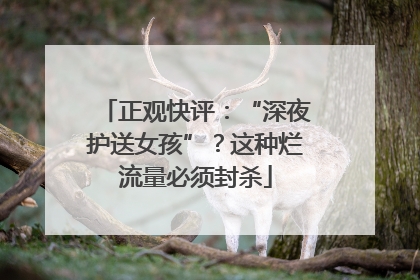 正观快评：“深夜护送女孩”？这种烂流量必须封杀