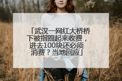 武汉一网红大桥桥下被指圈起来收费，进去100块还必须消费？当地回应