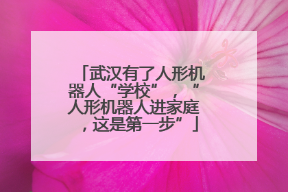 武汉有了人形机器人“学校”，“人形机器人进家庭，这是第一步”