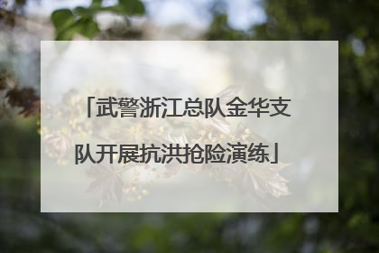 武警浙江总队金华支队开展抗洪抢险演练