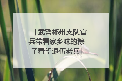 武警郴州支队官兵带着家乡味的粽子看望退伍老兵