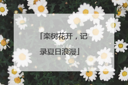 栾树花开，记录夏日浪漫