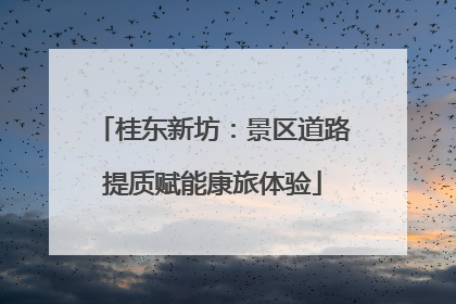 桂东新坊：景区道路提质赋能康旅体验