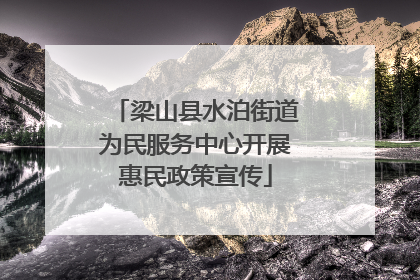 梁山县水泊街道为民服务中心开展惠民政策宣传